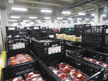 急募！時給1600円！冷凍食品内での入出荷作業！